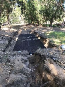 Leach drains Perth